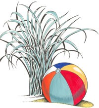 Beach-Ball-Color_Web - Copy