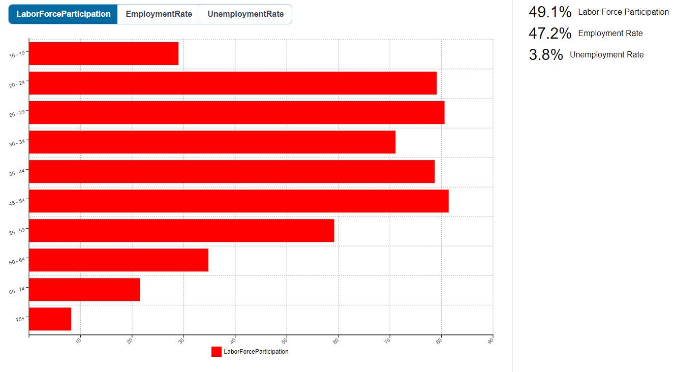 Lincoln City Labor Force Participation