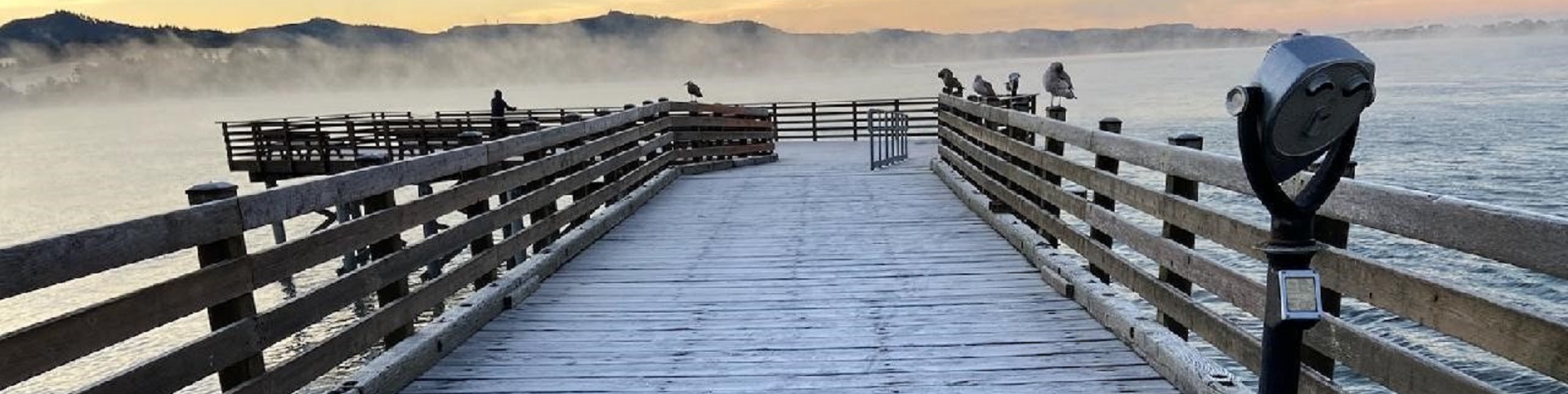 Taft Dock in Winter 5