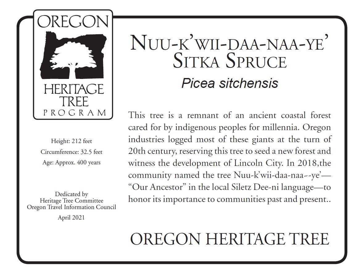 Heritage Tree Plaque Image